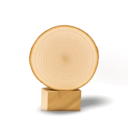 Round wooden slice with concentric rings placed on a small square wooden base.