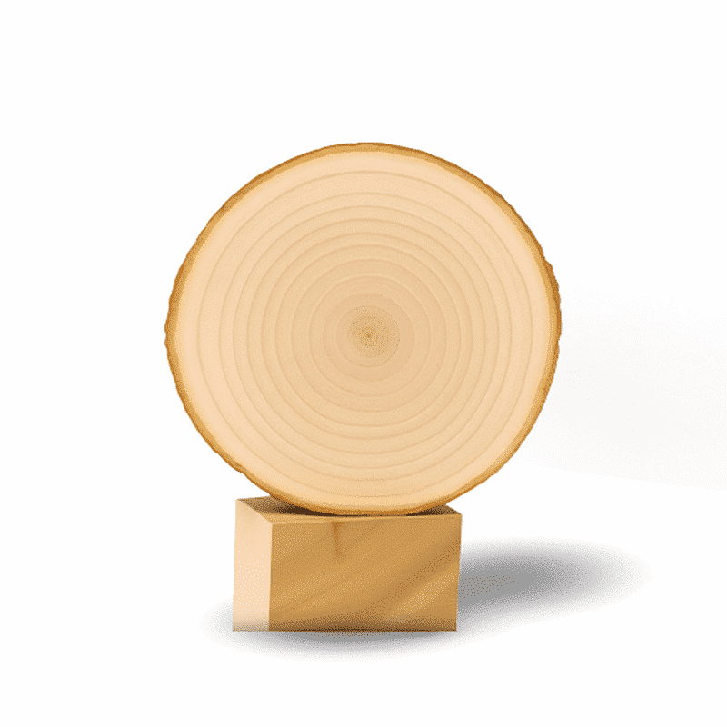 Round wooden slice with concentric rings placed on a small square wooden base.